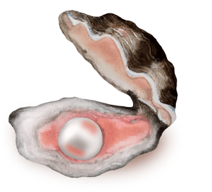 Seashell