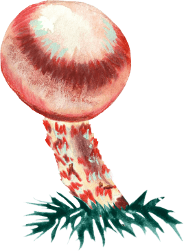 Mushrooms
