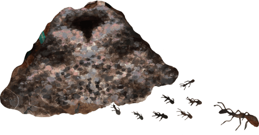 Anthill